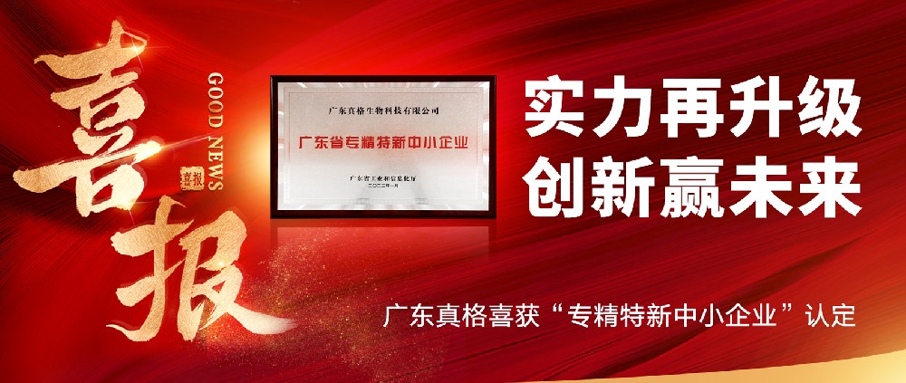 实力再升级，创新赢未来！ ——广东球盟会喜获“专精特新中小企业”认定